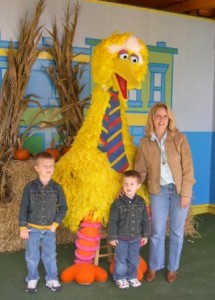 big-bird-picture