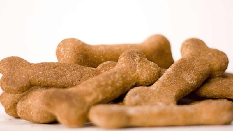 doggydelightlghtzbonezssm doggydelightlghtzbonezssm