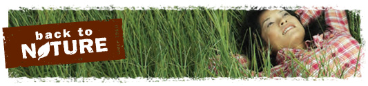 btn-header btn-header